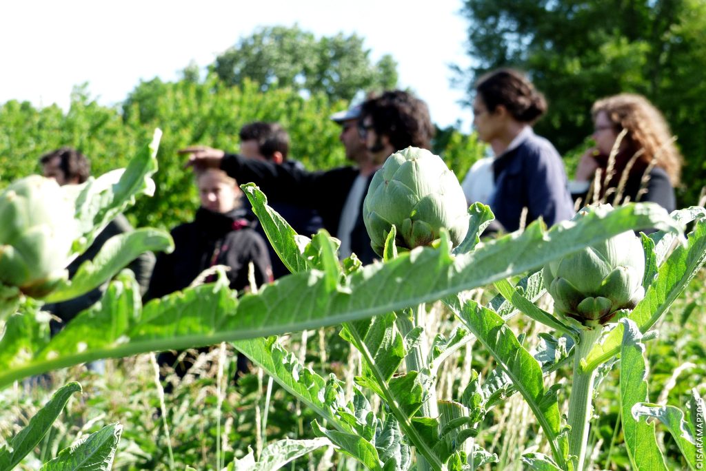 MSc Sustainable Food Systems European Double Degree Programme